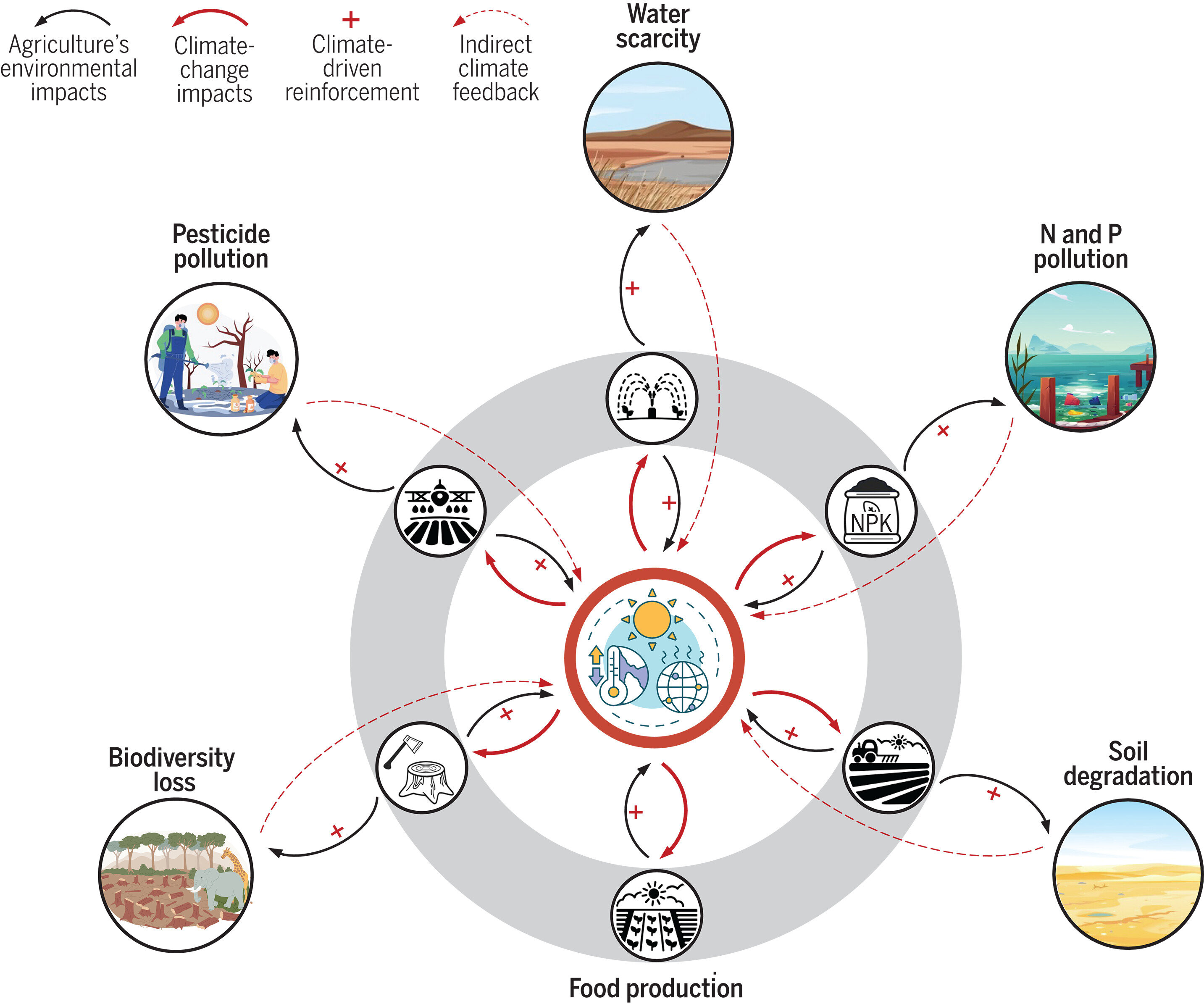 Sweeping global study charts a path forward for climate-resilient agriculture