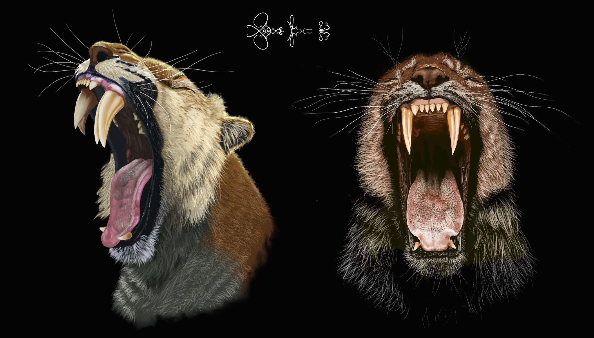 photo of Evidence suggests saber-toothed cats held onto their baby teeth to stabilize their sabers image