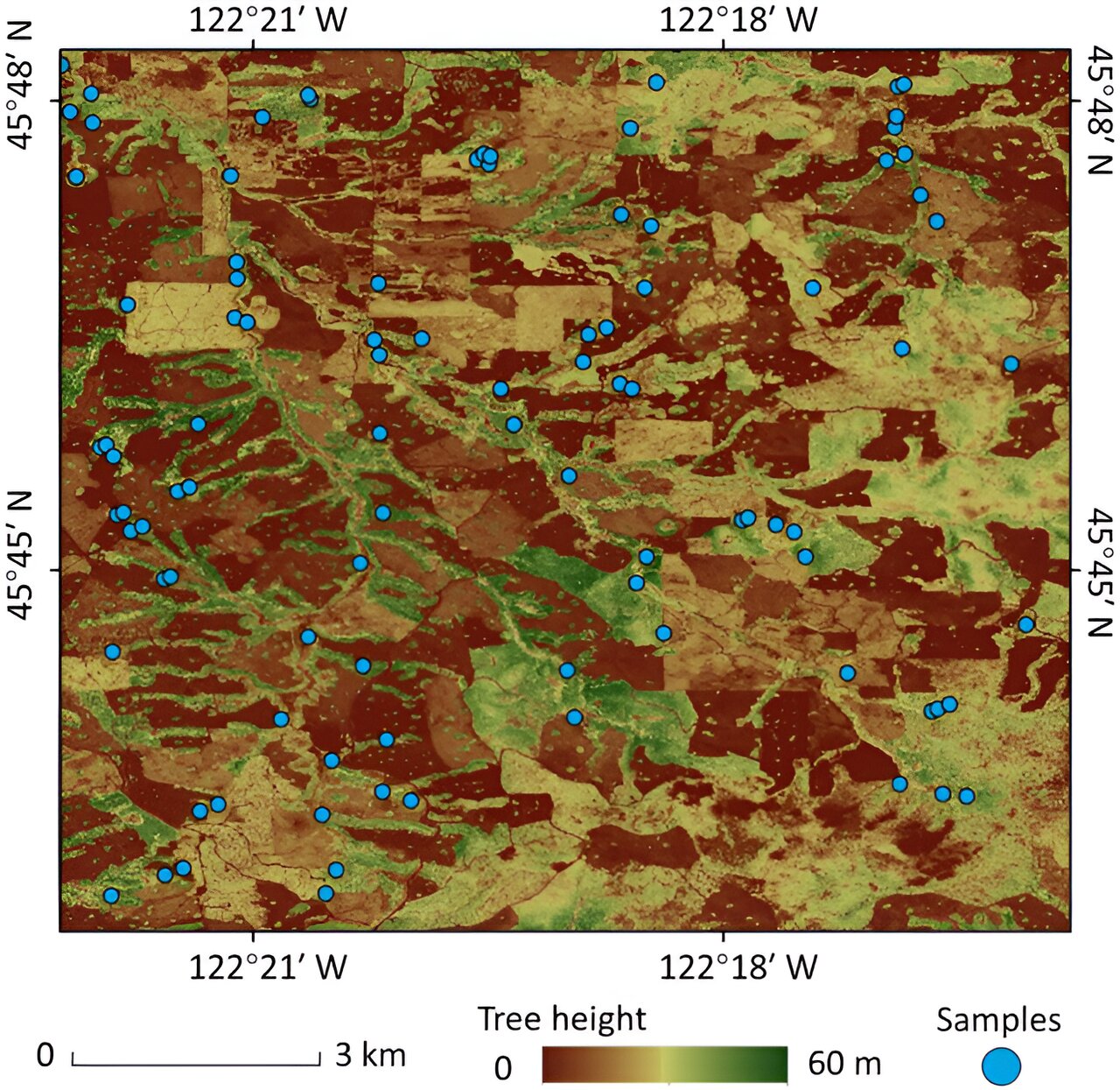 photo of The role of GEDI LiDAR technology in unlocking the secrets of tree height composition image