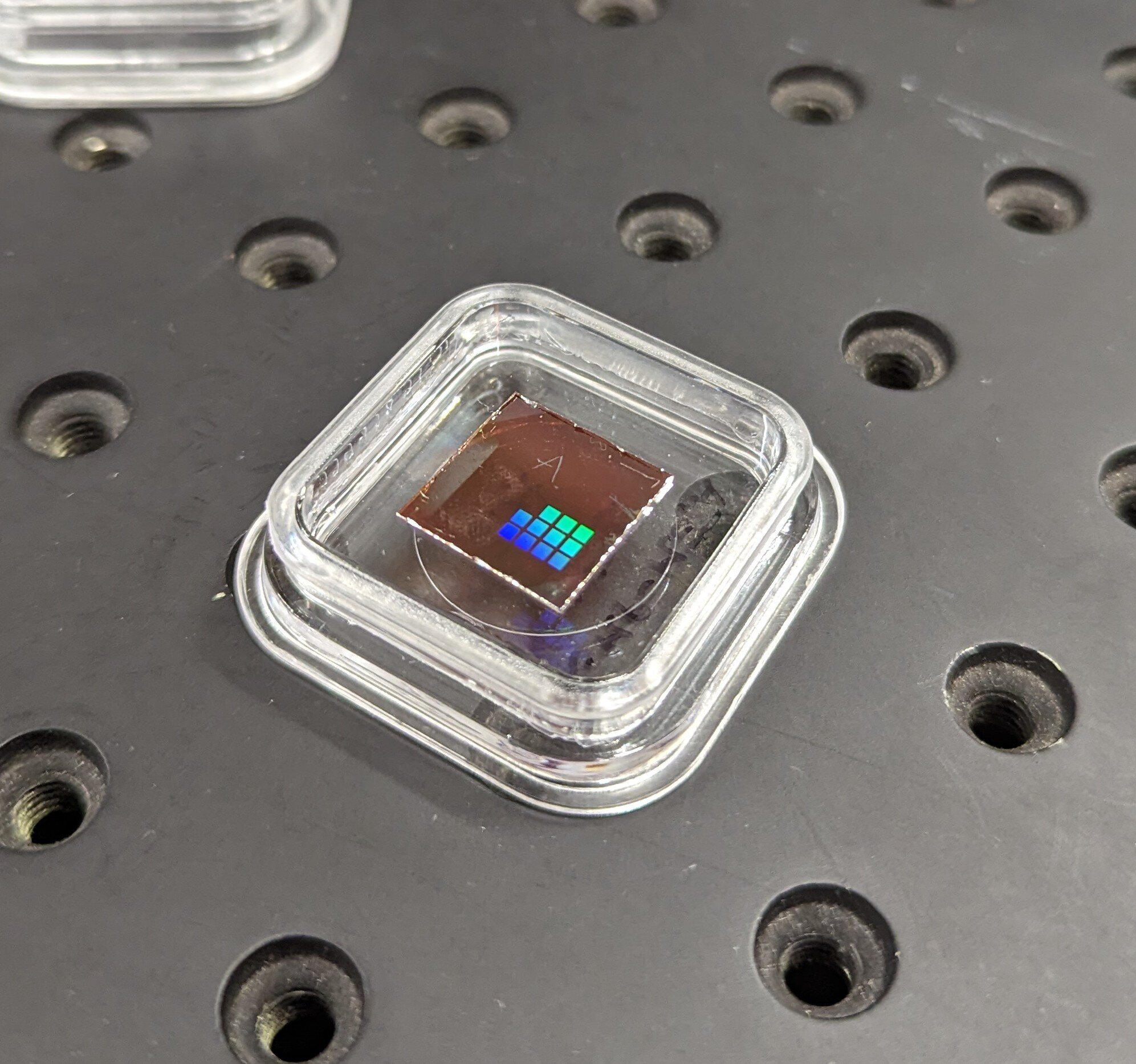 Tiny crop-health sensors could help cut the cost of groceries