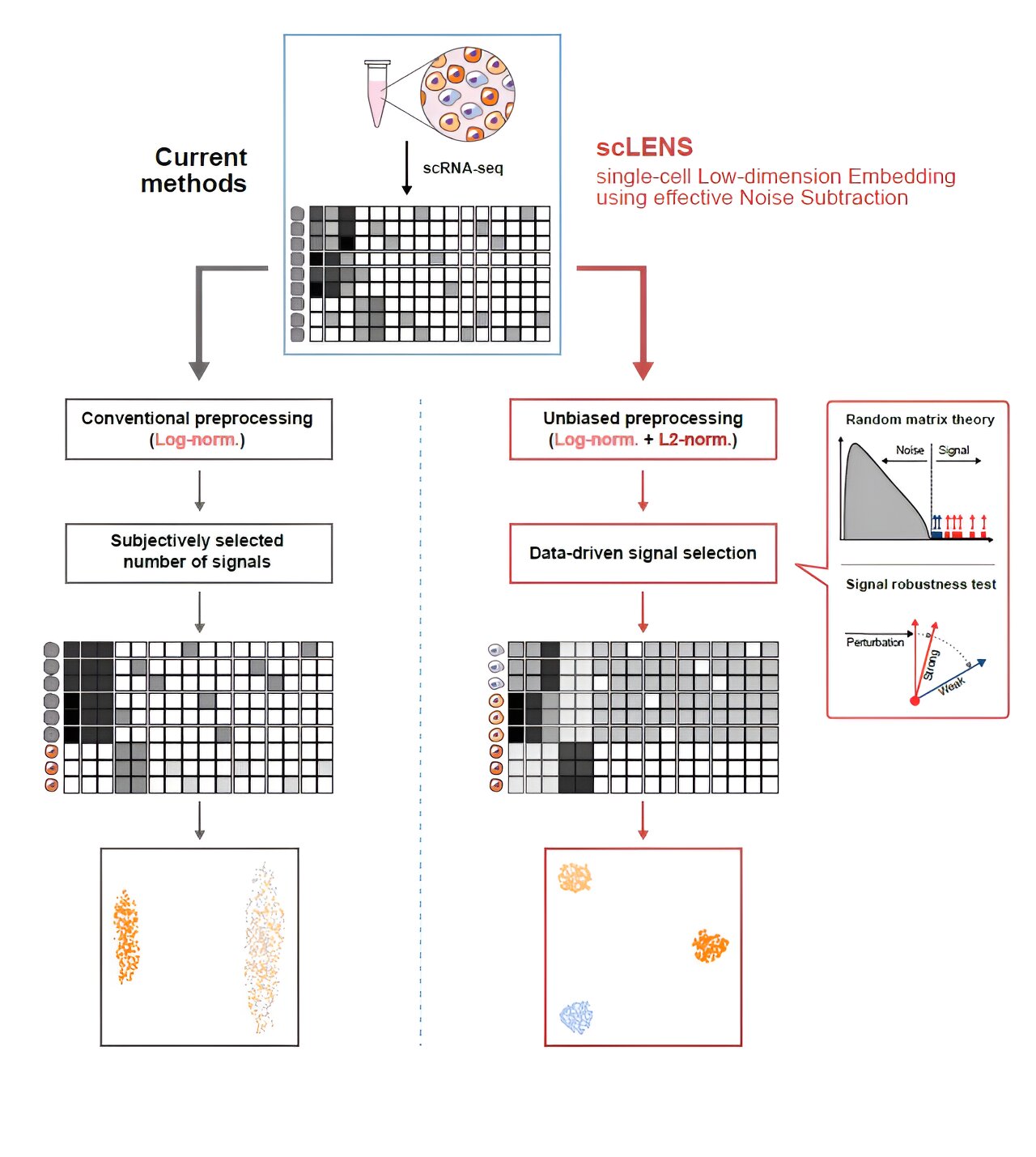 photo of New tool decodes complex, single-cell genomic data image