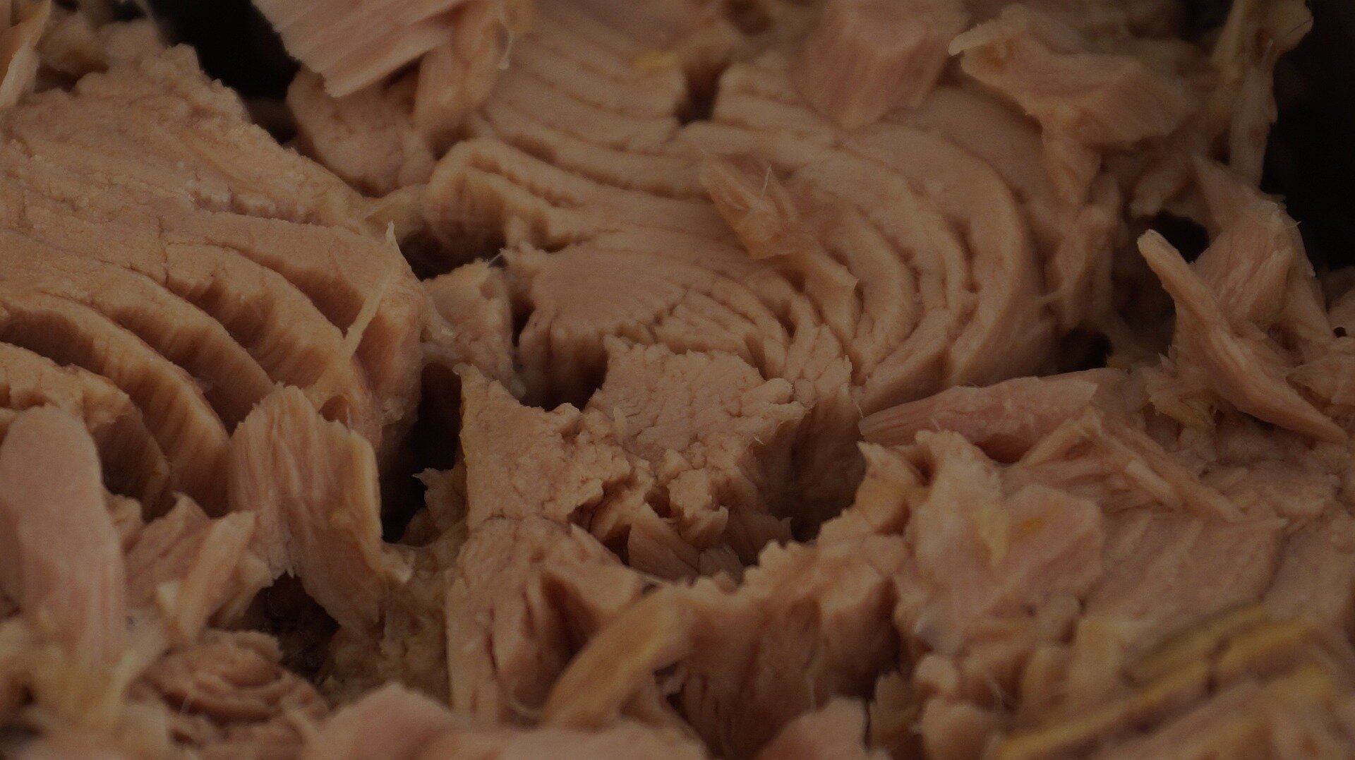 Mercury levels in tuna remain nearly unchanged since 1971, study says