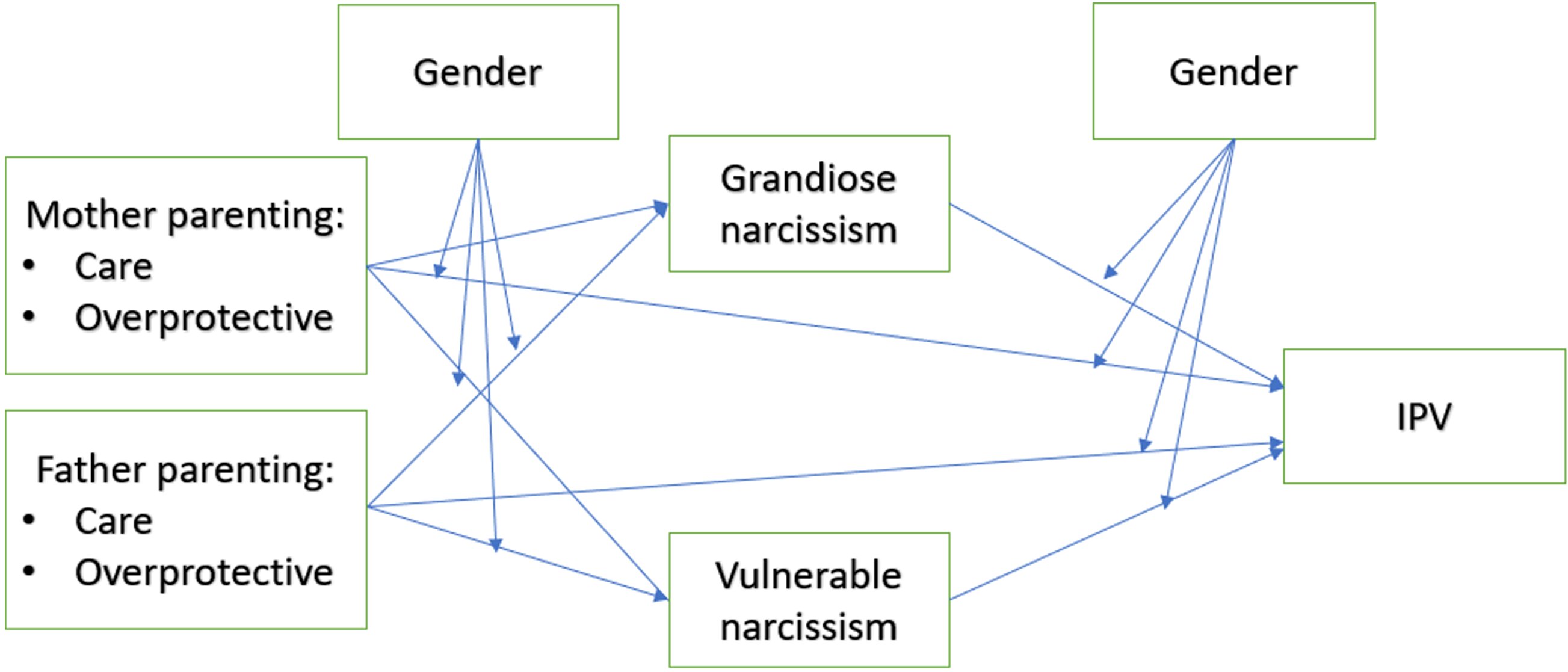 Unraveling the gendered undertones of narcissism