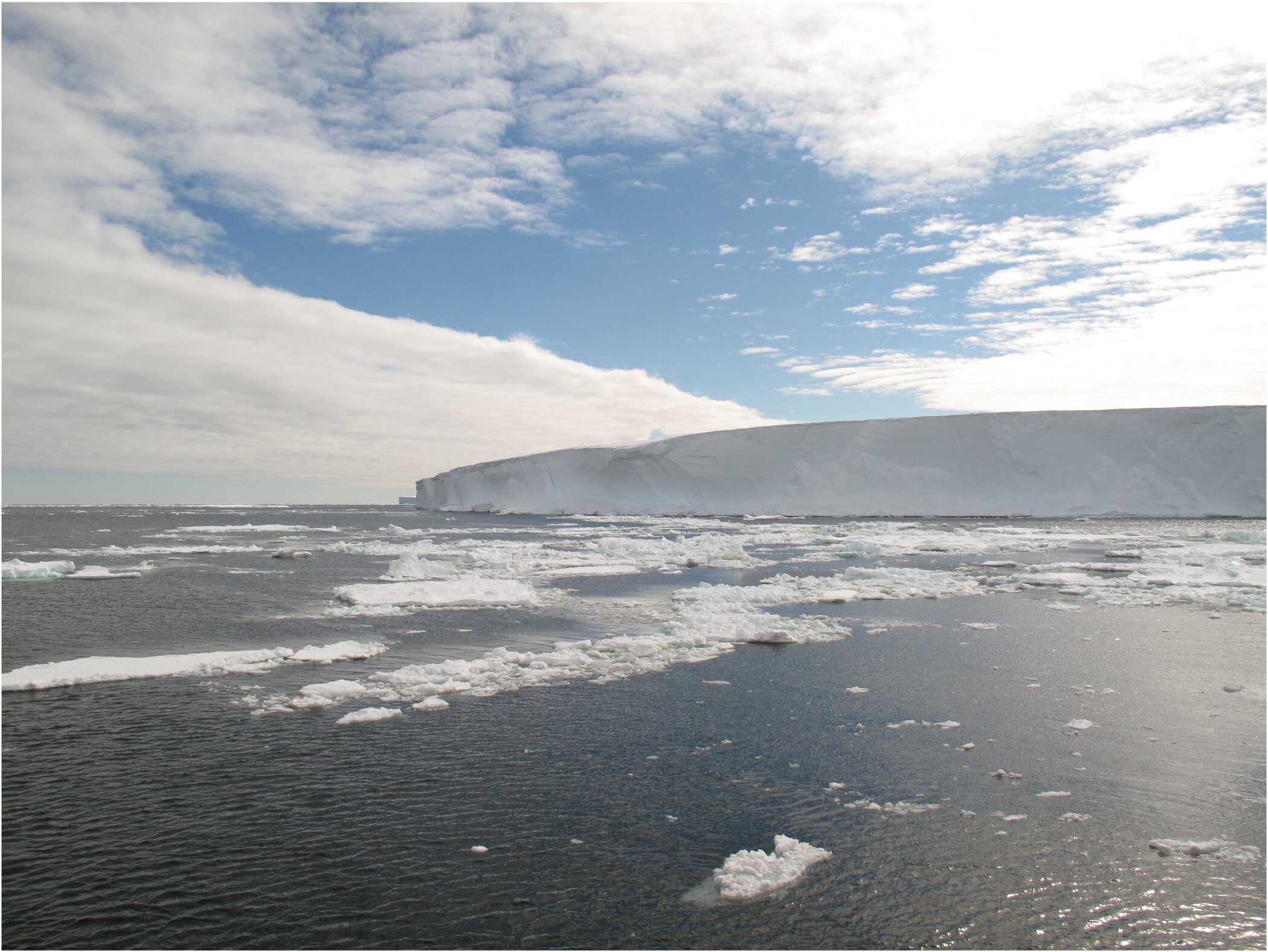 Adaptability of vitamin B12 in Antarctic algae has implications for climate change and life in the Southern Ocean