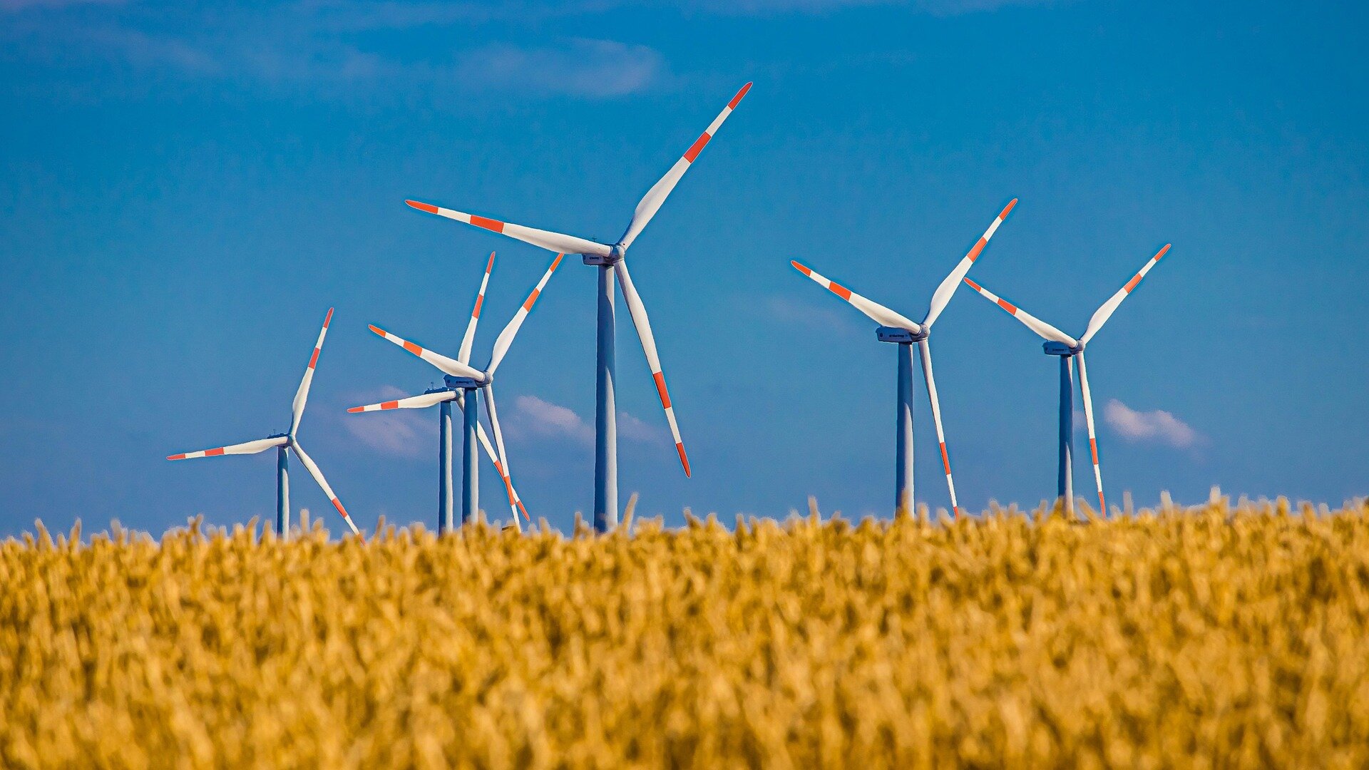 Wind farms more land productive than previously believed