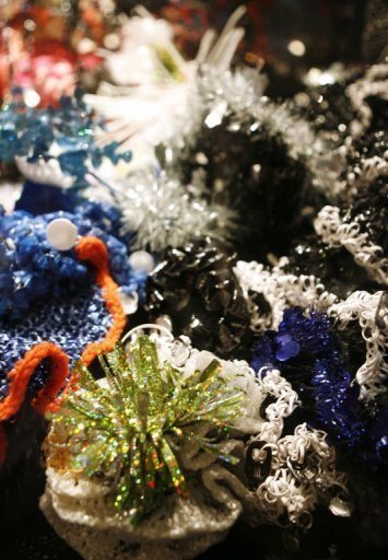 Crocheted coral exhibit carries environmental warning