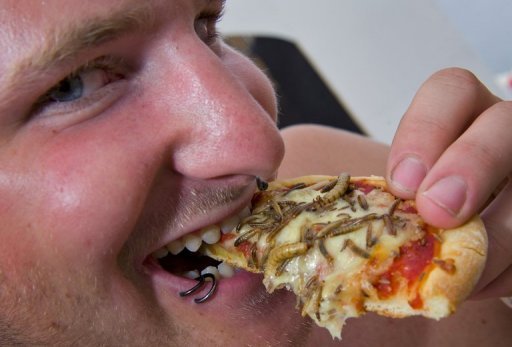 Bug Mac' and lovely 'grub': food of the future