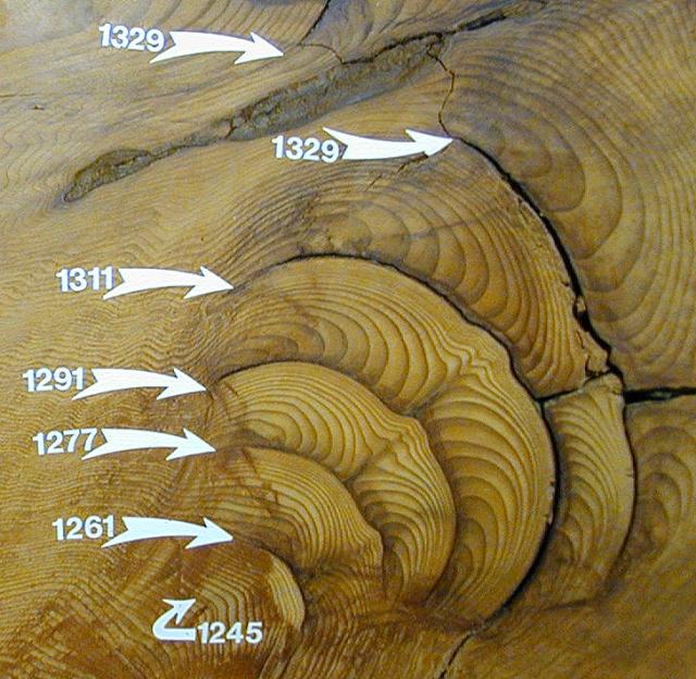 tree rings show history