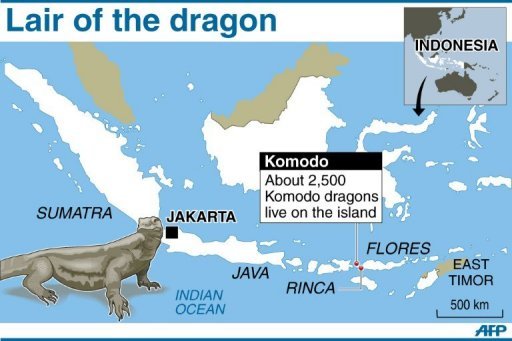 Komodo dragon attacks terrorize villages