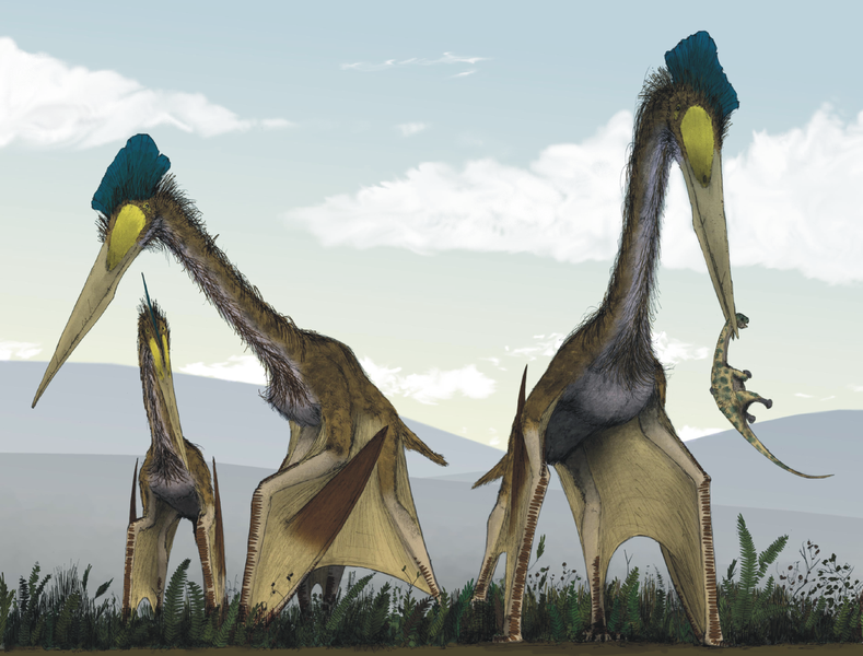 Record claims of pterosaur wingspans and equivalent standing heights