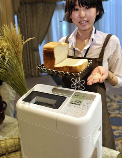 rice bread maker