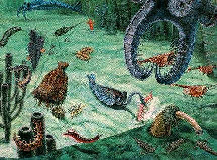 Skeletons in the pre-Cambrian closet
